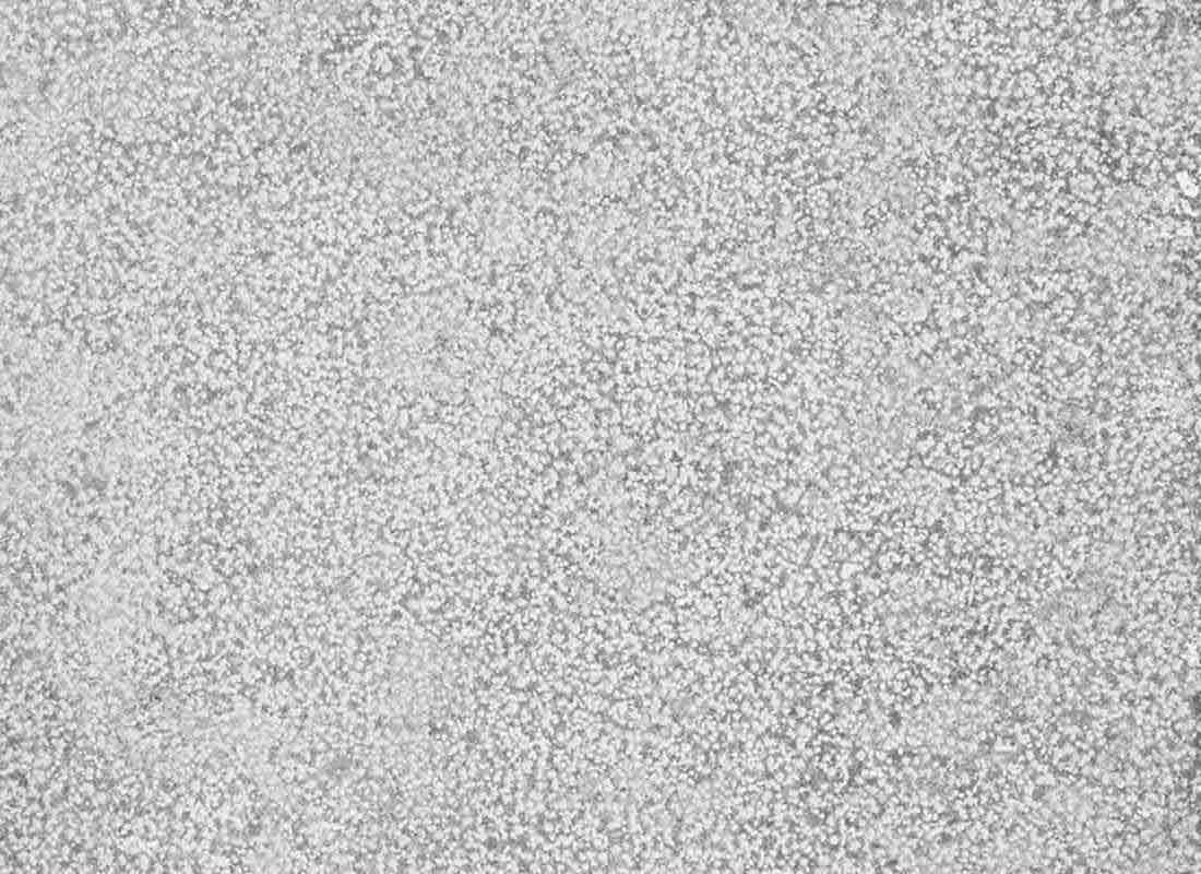 London Grey abujardado