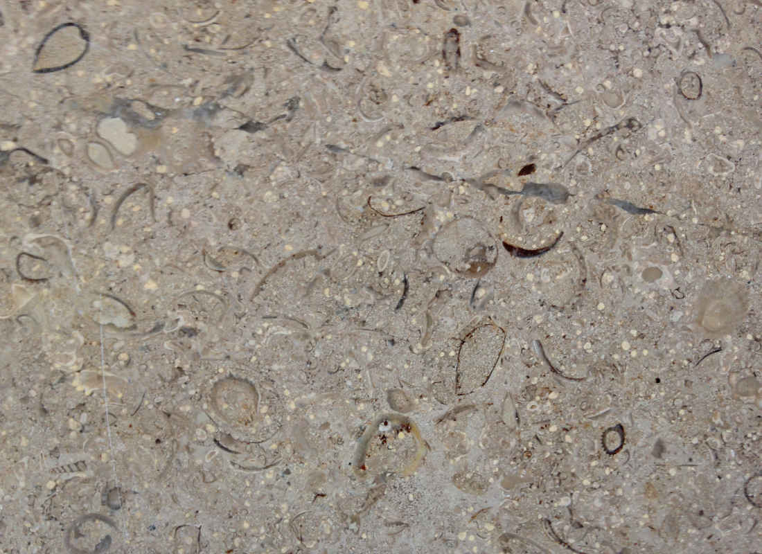 Sinai Pearl apomazado-Wer Stone-Werstone