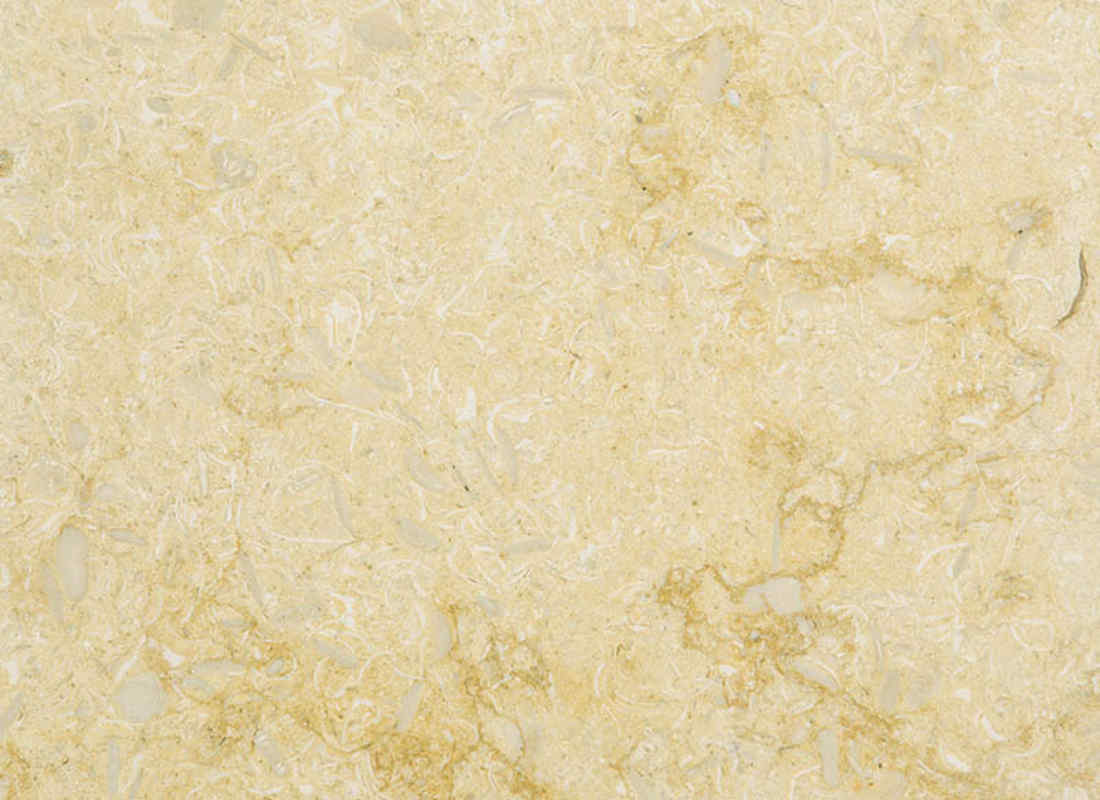 Sunny Menia cepillado